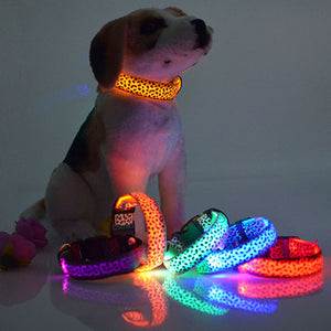 Illuminate Your Pet's Style: Leopard Print LED Luminous Dog Collar - Perfect for Large, Medium, and Small Pets, Mixed Batch of Pet Supplies for Extra Flair - Variety Port